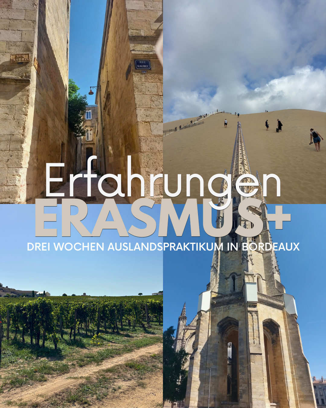 nfs pinnwand erasmus erfahrungen
